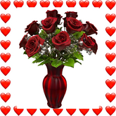 Dozen Red Roses,Valentine's Day