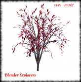 Lovers Tree