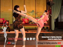 Kung Fu Fighting animation 02