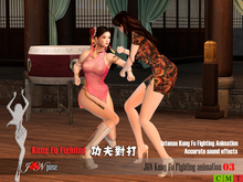 Kung Fu Fighting animation 03