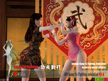 Kung Fu Fighting animation 04
