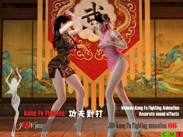 Kung Fu Fighting animation 06