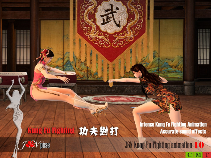 Kung Fu Fighting animation 10