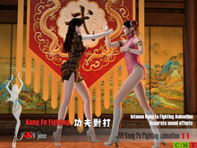 Kung Fu Fighting animation 11