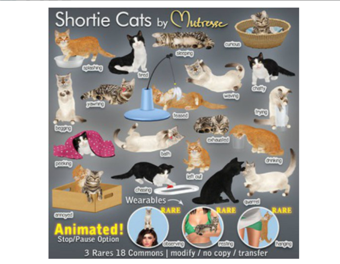 03-Mutresse-Begging-Shortie Cats