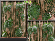 Palm Moss Wall  - CANARUN - (Rezzme)