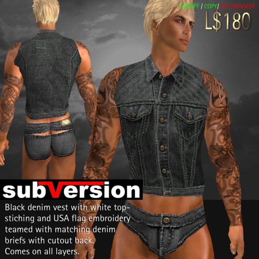 .~subVersion~. DENIM vest USA flag - black