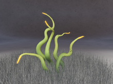 Tendril Plant -Bioluminescent