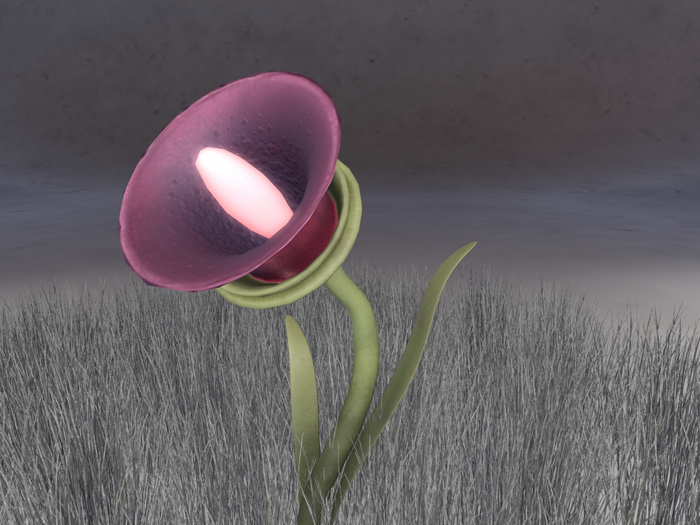 Dafoo Flower - Bioluminescent
