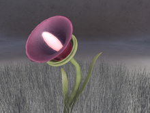 Dafoo Flower - Bioluminescent