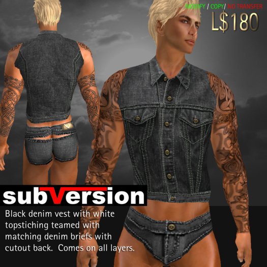 .~subVersion~. DENIM vest plain - black