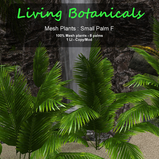 Inochi Botanicals - Small Palm F