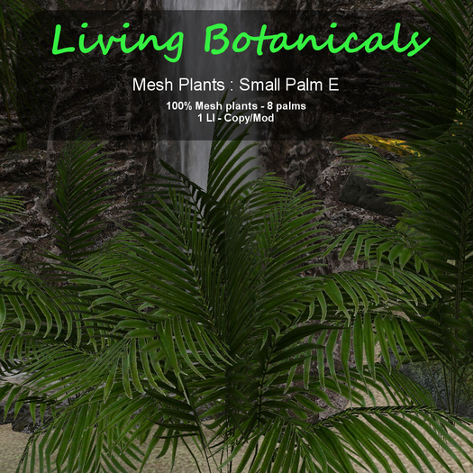 Inochi Botanicals - Small Palm E