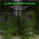 Inochi Botanicals - Small Palm E