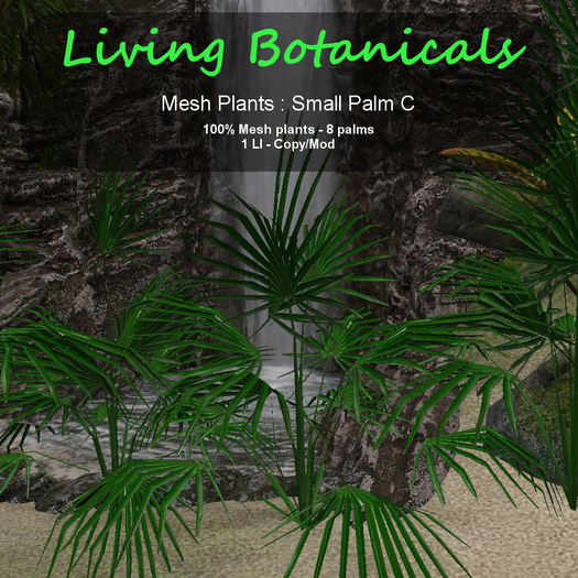 Inochi Botanicals - Small Palm C