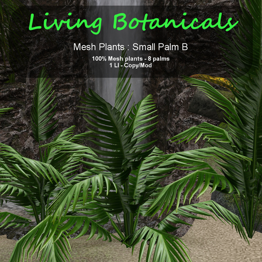 Inochi Botanicals - Small Palm B