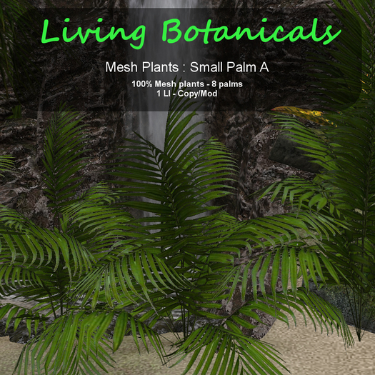 Inochi Botanicals - Small Palm A