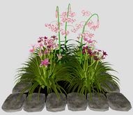 Pink Lily Flowers in a Stone Square Border(7LI, 2x2)