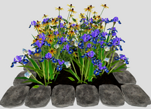 Blue Iris in a Stone Square Border(7LI, 2x2)