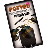 Potted: Philodendron Seed: Twisted Step