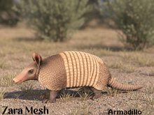 ZM PBR Armadillo FULL PERM MESH