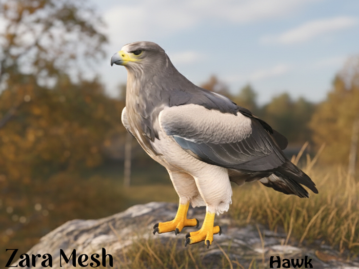 ZM PBR Hawk FULL PERM MESH