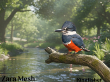 ZM PBR Kingfisher FULL PERM MESH