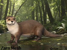 ZM PBR Otter FULL PERM MESH