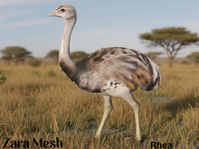 ZM PBR Rhea FULL PERM MESH