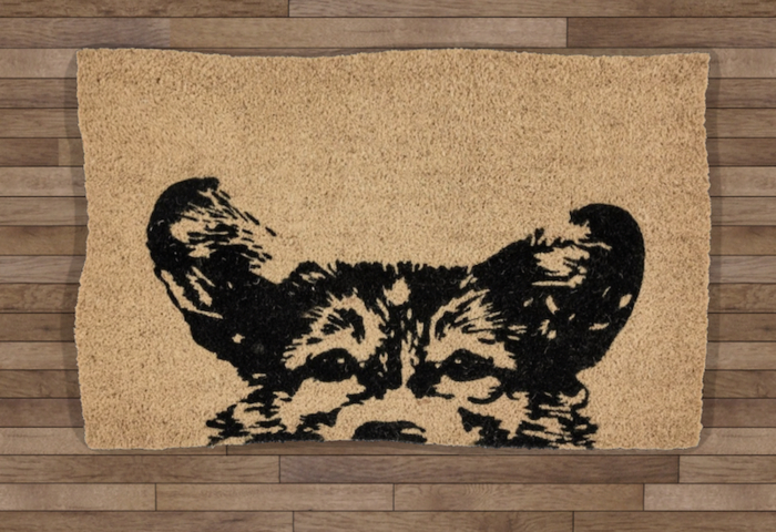 doormat welcome dog