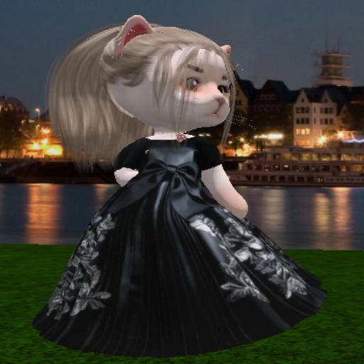 150 BLACK DRESS SET