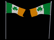 Flag Of Ireland With A Shamrock Symbol
