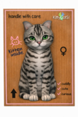 KittyCatS Box - Tinybeau