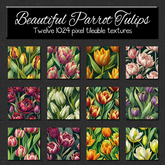 *Wallflowers* Beautiful Parrot Tulips - Set 2