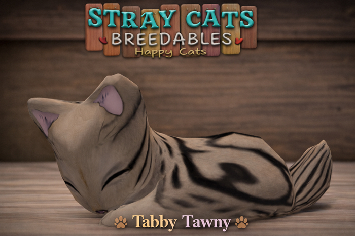Stray Cats Kitten - Stray Kitty (F)