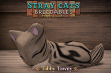 Stray Cats Kitten - Stray Kitty (F)
