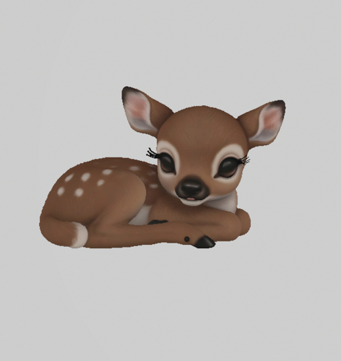 Baby Fawn crate