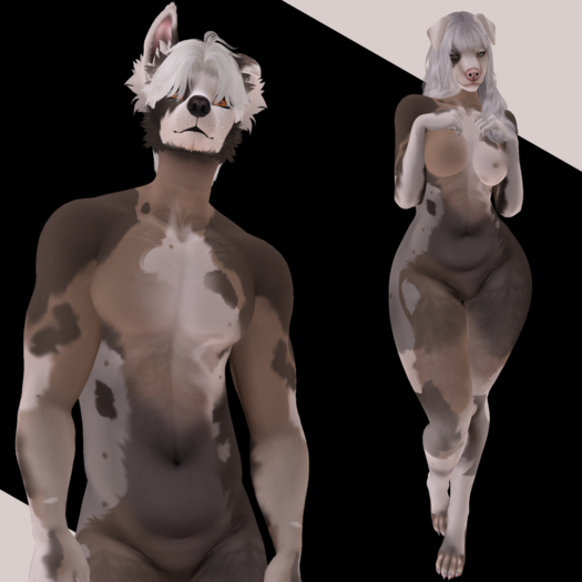 Pupped Up - BadPups - Mocha