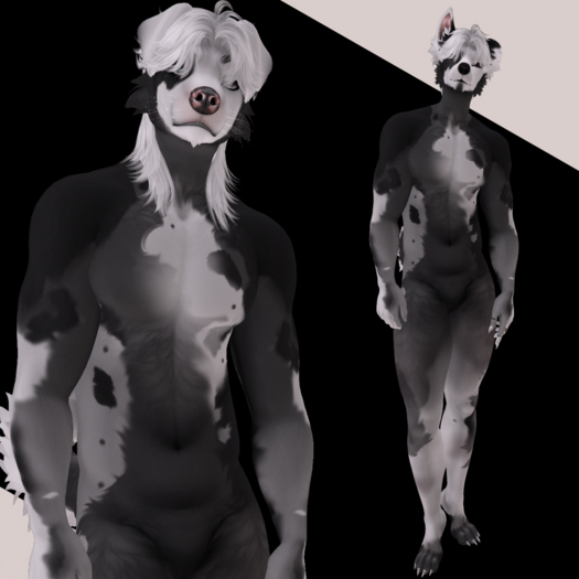 Pupped Up - BadPups - Somber