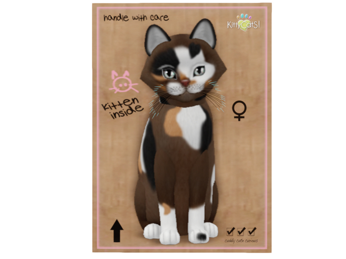 KittyCatS Box - 6T - F - Genesis - Patch II