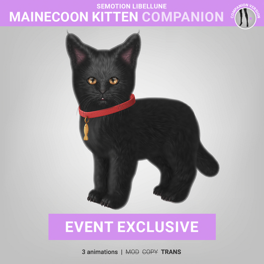 SEmotion Libellune Mainecoon Kitten Companion EXCLUSIVE