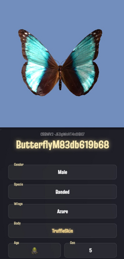 [CBB Egg] ButterflyM83db619b68