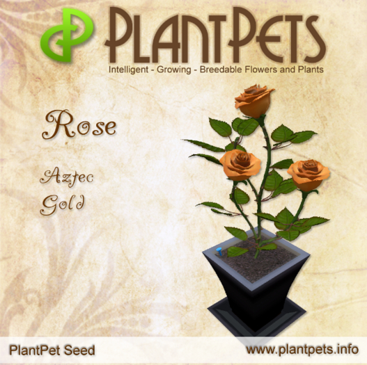 PlantPet Seed [Rose *Aztec Gold*] Common