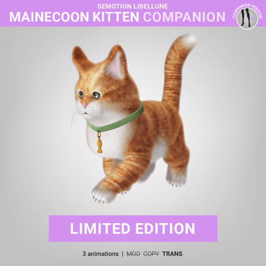 SEmotion Libellune Mainecoon Kitten Companion LIMITED