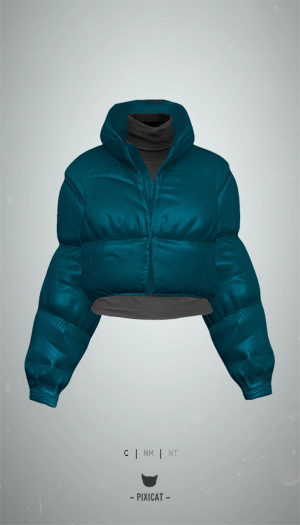 -Pixicat- Anouk Jacket (Teal)