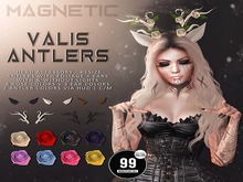 Magnetic - Valis Antlers