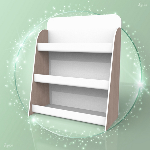 Store Shop Retail Display