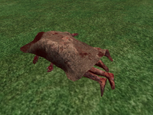 TM Two Covered Corpses - Halloween