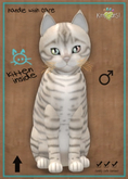 MEGAPUSS: KittyCatS Box - Toyger - Snow - MegaPuss
