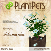 PlantPet Seed [Alamanda *Country*]